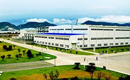 Company Profile